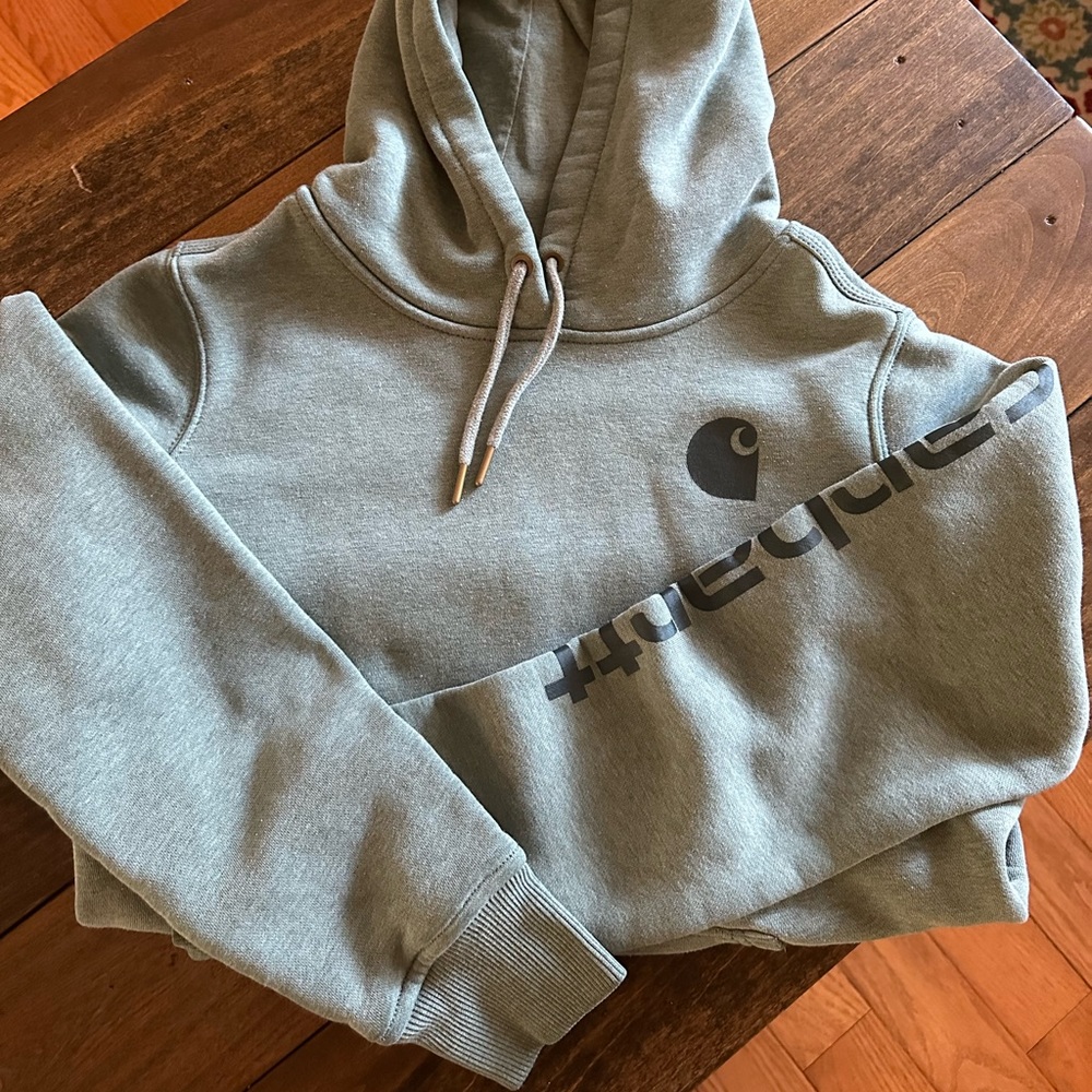 Baby blue carhartt hoodie women’s